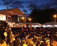 picture 3 in the gallery for Golden Live TANGHETTO en La Velarte Metz