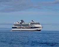 picture 2 in the gallery for Tango Cruise around South America