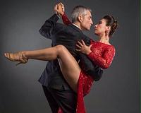 picture 2 in the gallery for Miami Sunshine Tango Festival