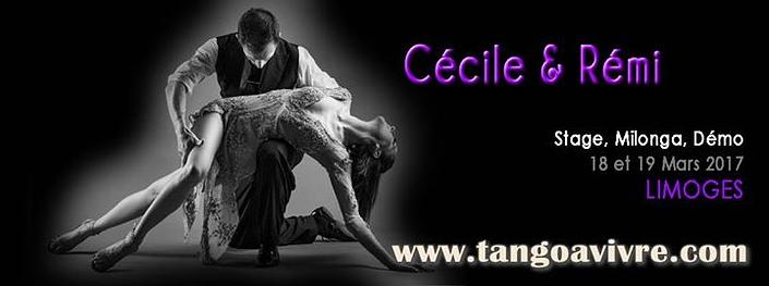 flyer image for Stage avec Cecile Rouanne Remi Esterle