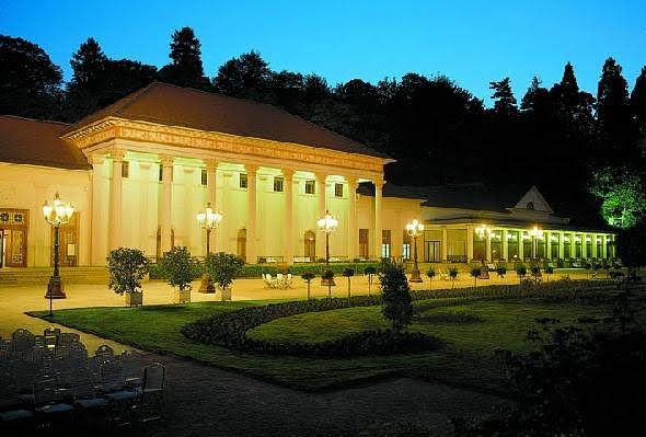 flyer image for Baden Baden International Tango Festival