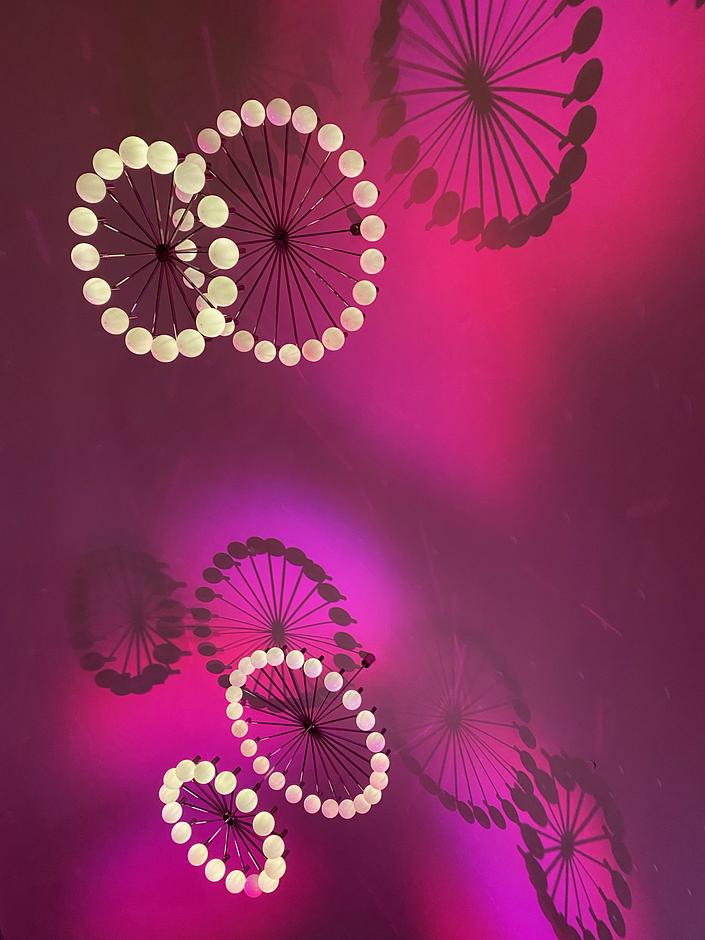 flyer image for TAMAKA