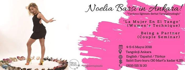 flyer image for Noelia Barsi in Ankara