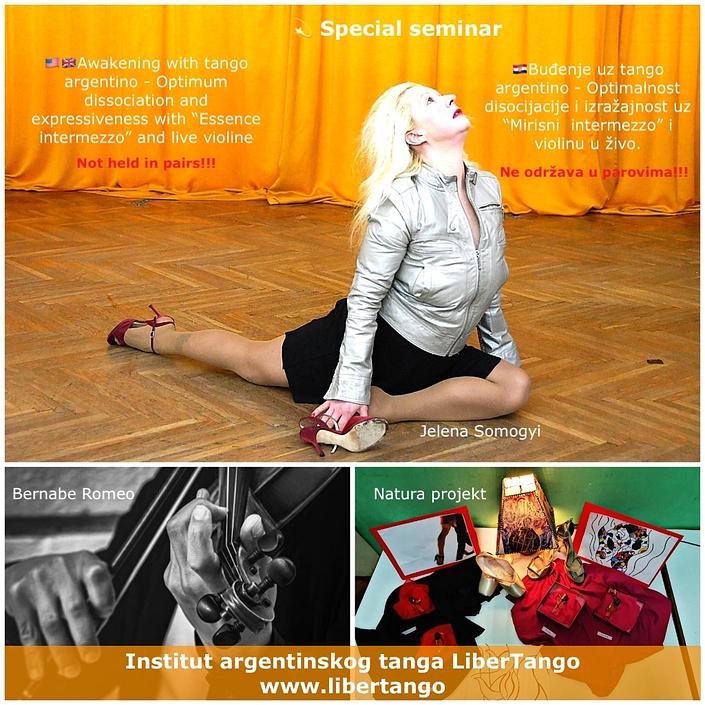 flyer image for Special Tango Argentino seminar with Essence and violin
