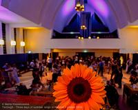 picture 2 in the gallery for TanGogh - Four days of summer tango in Holland