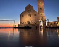 picture 2 in the gallery for INTERNATIONAL TRANI TANGO XIII ED