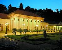 picture 2 in the gallery for Baden-Baden International Tango Festival