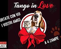 picture 3 in the gallery for Tango in Love 2019