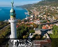 picture 1 in the gallery for V International Trieste Tango Festival