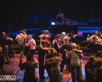 picture 1 in the gallery for Gotango Poznan Festival 2026