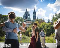 picture 2 in the gallery for Gotango Poznan Festival 2026