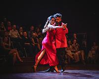 picture 3 in the gallery for Gotango Poznan Festival 2026